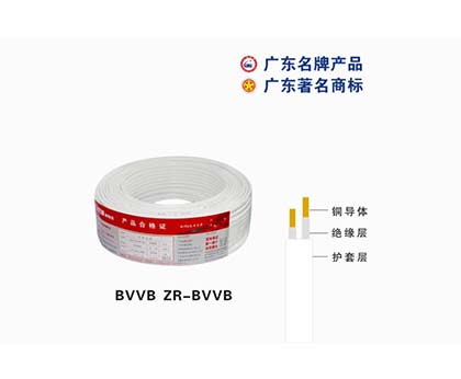 BVVB ZR-BVVB齭|